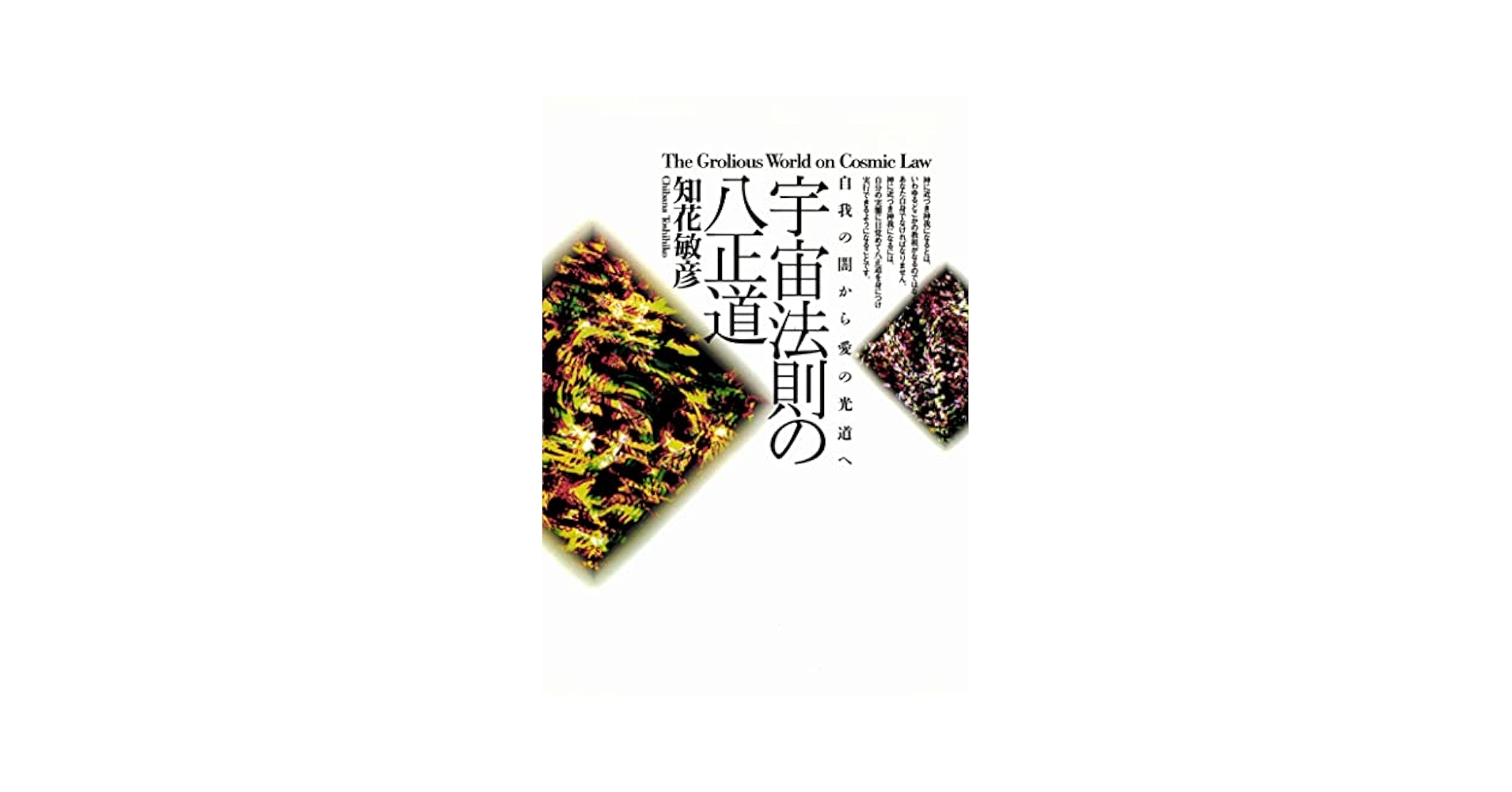 宇宙法則の八正道―自我の闇から愛の光道へ 宇宙法則の八正道 自我の闇から愛の光道へ /たま出版/